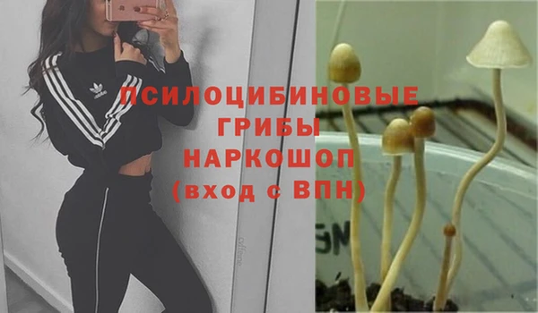 прущие крисы Алексин