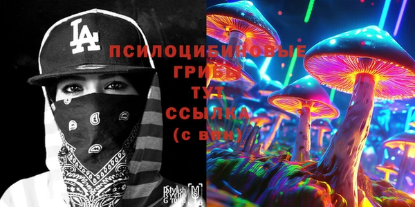 прущие крисы Алексин